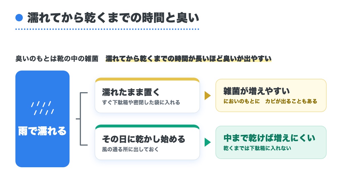 雨で濡れたあと濡れたまま置くと雑菌が増えやすくその日に乾かし始めれば増えにくいと分けた図