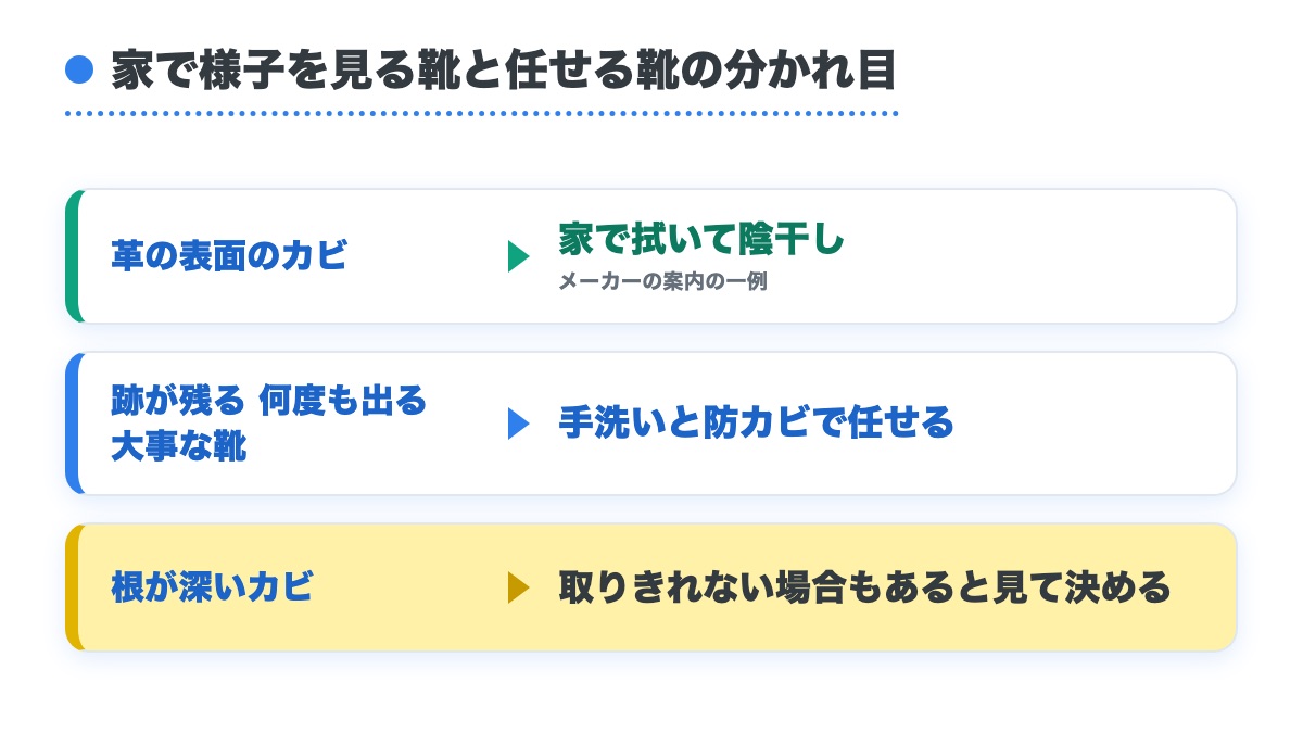 革の表面のカビは家で拭いて陰干しし跡が残る靴や大事な靴は任せ根が深いカビは取りきれない場合もあると見て決める分かれ目の図